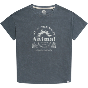 Abbigliamento Donna T-shirts a maniche lunghe Animal Phoenix Blu