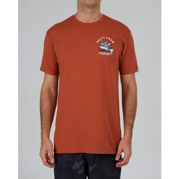 Abbigliamento Uomo T-shirt & Polo Salty Crew Hot rod shark premium s/s tee Arancio
