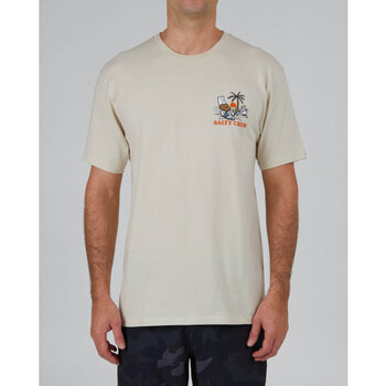 Abbigliamento Uomo T-shirt & Polo Salty Crew Siesta premium s/s tee Beige