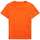 Abbigliamento Uomo T-shirt maniche corte Ralph Lauren SKU_277381_1555443 Arancio