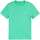 Abbigliamento Uomo T-shirt maniche corte Ralph Lauren SKU_277381_1555448 Verde
