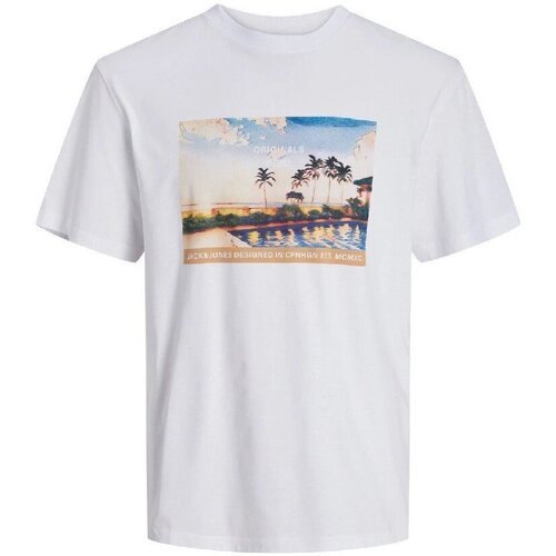 Abbigliamento Uomo T-shirt maniche corte Jack & Jones T-Shirt Uomo Stampa Graphic SS Bianco