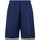 Abbigliamento Uomo Shorts / Bermuda Urban Classics Stripes Mesh Shorts Article Tb243 Blu