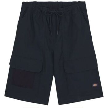 Abbigliamento Uomo Shorts / Bermuda Dickies Pantaloncini Fishersville Cargo Uomo Dark Navy Blu