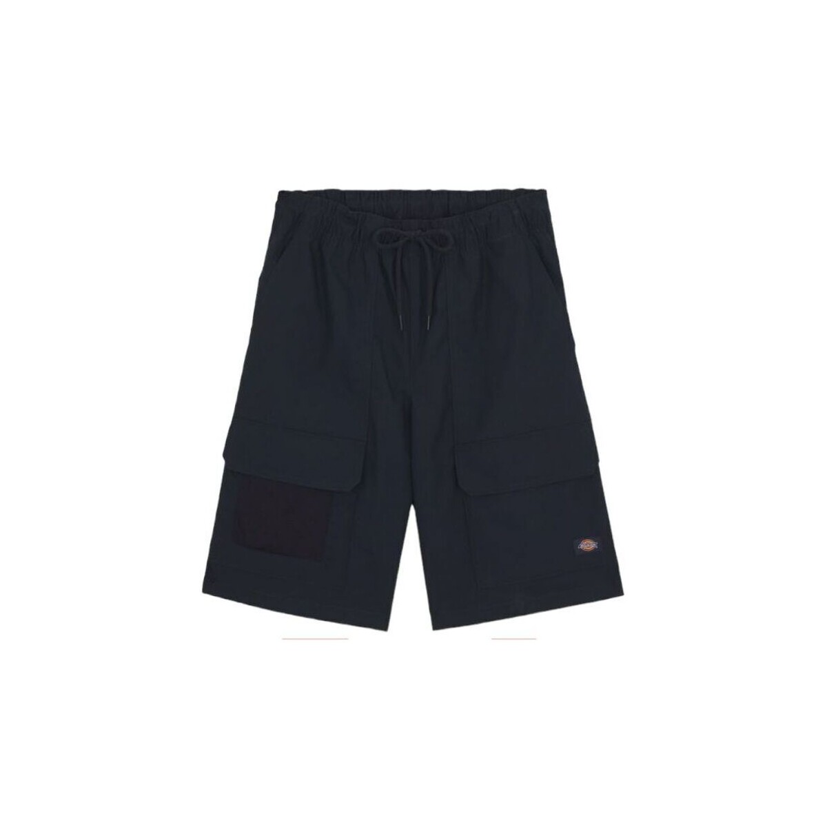 Abbigliamento Uomo Shorts / Bermuda Dickies Pantaloncini Fishersville Cargo Uomo Dark Navy Blu