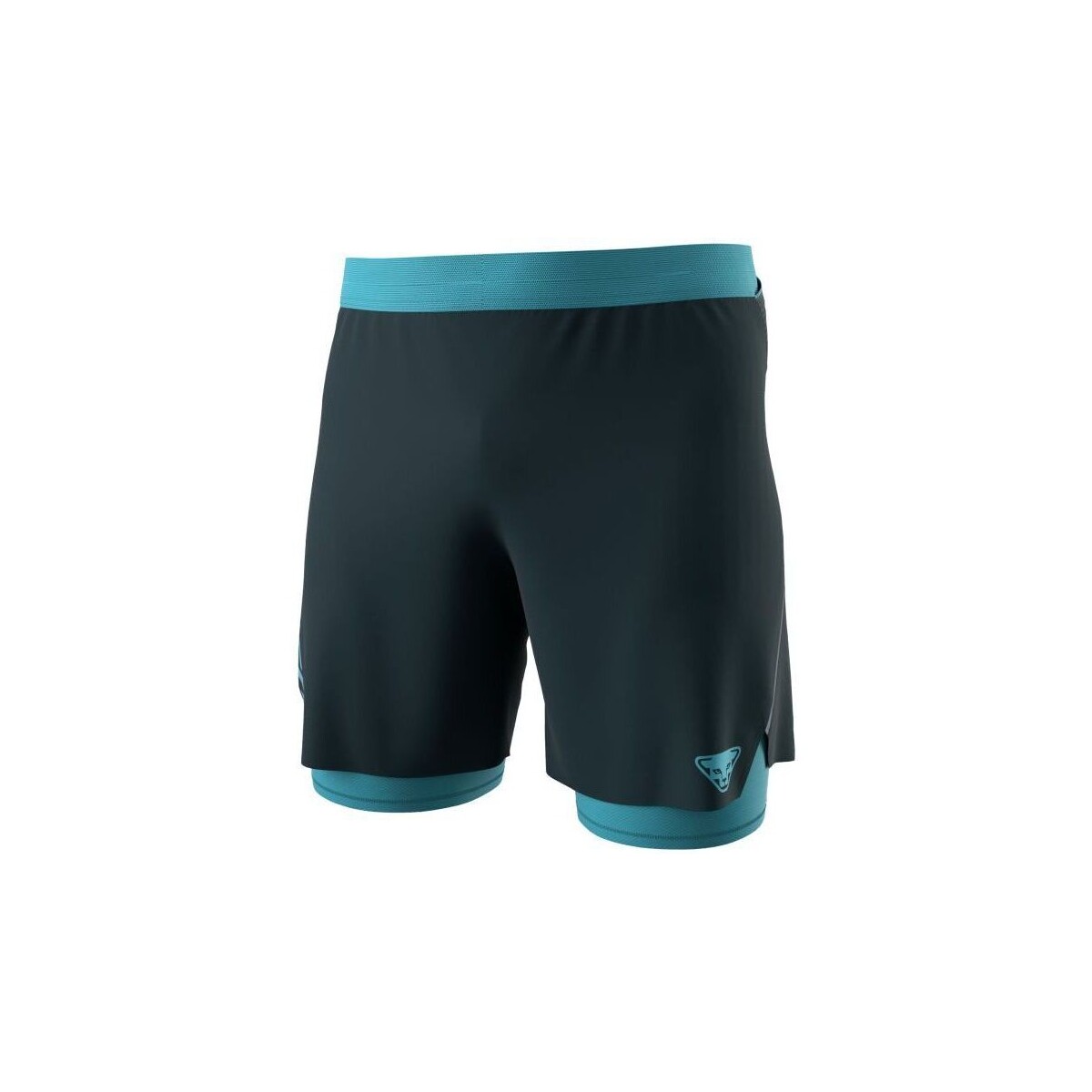 Abbigliamento Uomo Shorts / Bermuda Dynafit Pantaloncini Alpine Pro 2in1 Uomo Blueberry/Storm Blue Blu