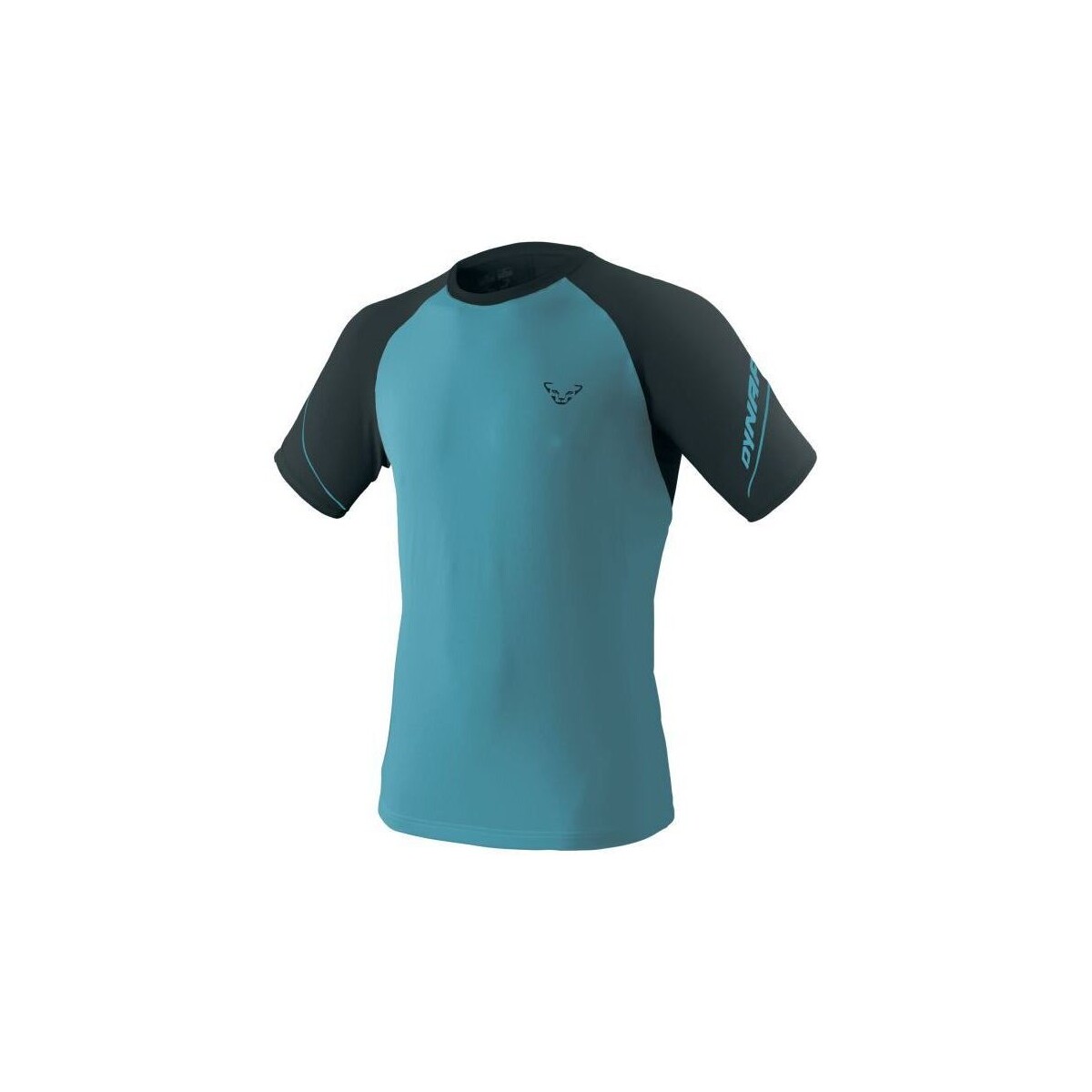 Abbigliamento Uomo T-shirt maniche corte Dynafit T-shirt Alpine Pro Uomo Storm Blue Blu