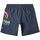 Abbigliamento Bambino Costume / Bermuda da spiaggia O'neill 4800027-35105 Blu