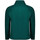 Abbigliamento Uomo Giacche / Blazer Geographical Norway WW3003H/AN Verde