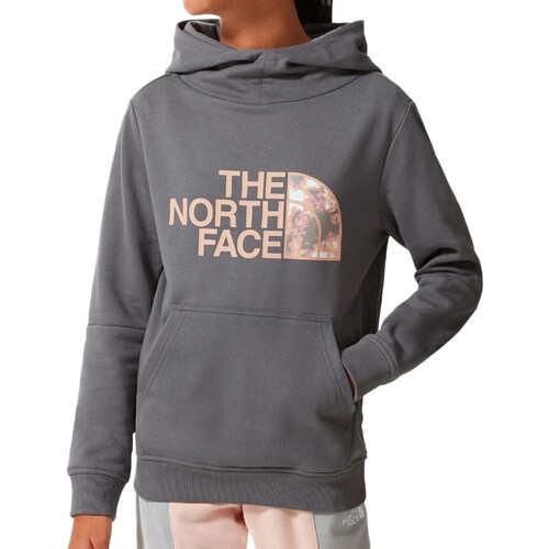 Abbigliamento Bambina Felpe The North Face NF0A558T1741 Grigio