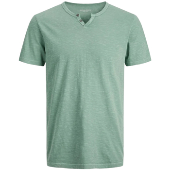 Abbigliamento Uomo T-shirt & Polo Jack & Jones 12222324 Verde