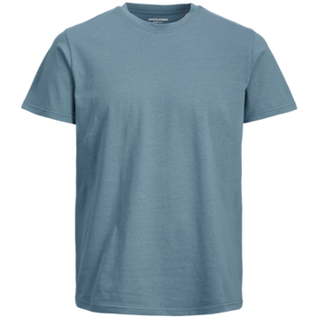 Abbigliamento Uomo T-shirt & Polo Jack & Jones 12222325 Blu