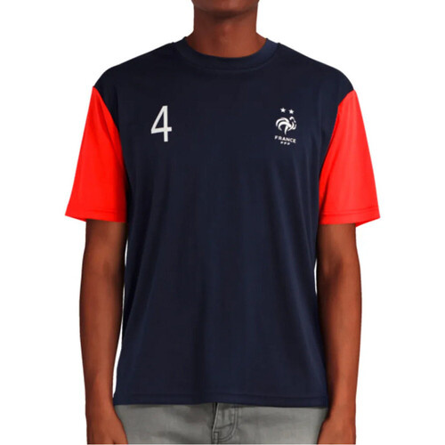 Abbigliamento Uomo T-shirt & Polo FFF HCF274 ITM3 Blu