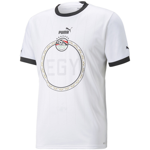 Abbigliamento Uomo T-shirt & Polo Puma 766163-02 Bianco