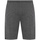 Abbigliamento Uomo Shorts / Bermuda Everlast 810522-60 Grigio