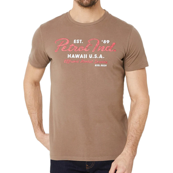 Abbigliamento Uomo T-shirt maniche corte Petrol Industries M-1040-TSR601 Marrone