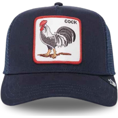 Accessori Cappelli Goorin Bros The Cock Blu