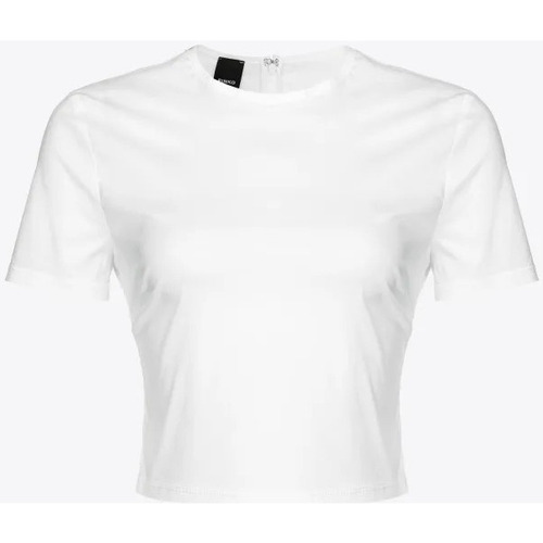 Abbigliamento Donna Top / Blusa Pinko  Bianco