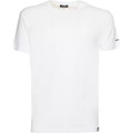 Image of T-shirt & Polo Dsquared tshirt bianca basic uomo