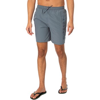 Abbigliamento Uomo Costume / Bermuda da spiaggia Superdry Pantaloncini da bagno Premium EMB 17 Grigio