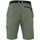 Abbigliamento Uomo Shorts / Bermuda Peak Mountain Short de randonnée homme CAJASI Verde