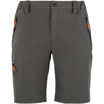 Abbigliamento Uomo Shorts / Bermuda Peak Mountain Short de randonnée homme CESSOR Grigio
