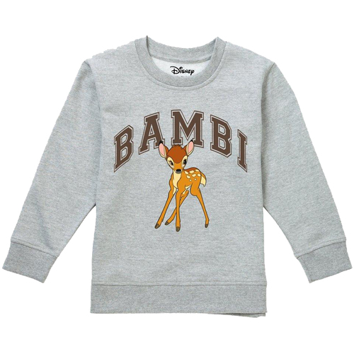 Abbigliamento Bambina Felpe Bambi TV3041 Grigio
