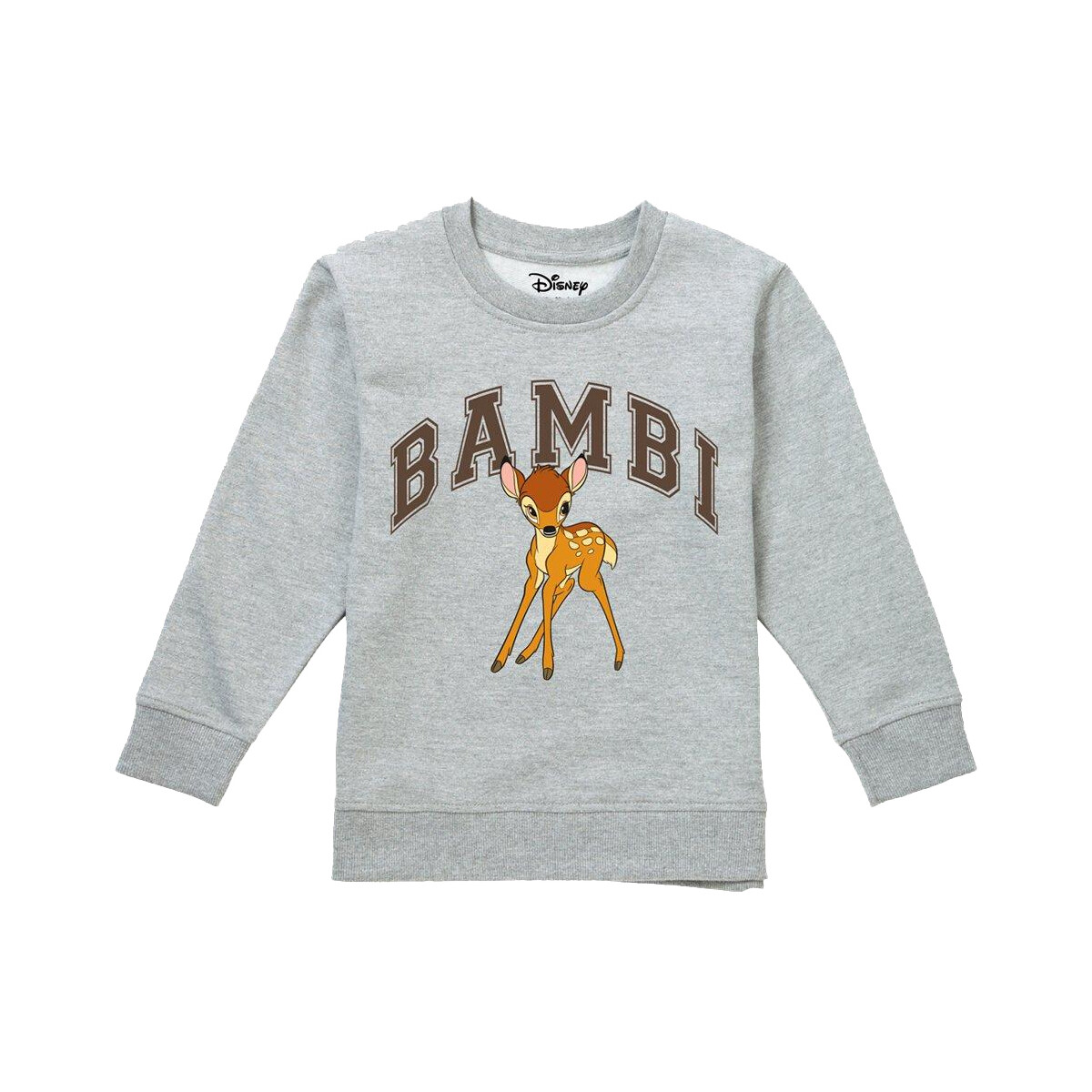 Abbigliamento Bambina Felpe Bambi TV3041 Grigio