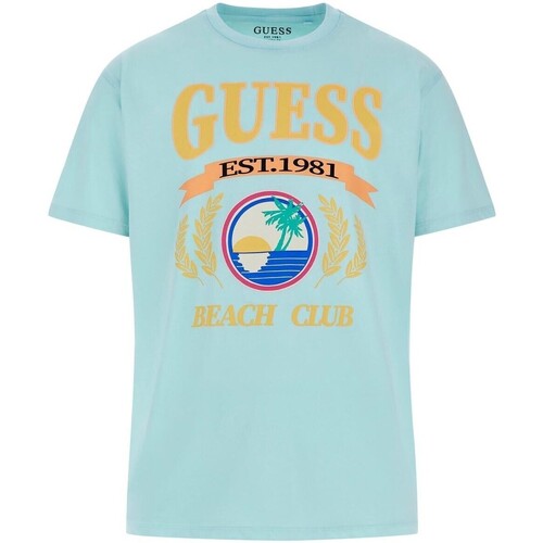 Abbigliamento Uomo T-shirt maniche corte Guess  Multicolore