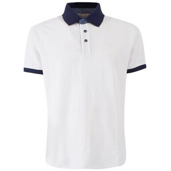 Abbigliamento Uomo T-shirt & Polo Yes Zee Polo BIANCO