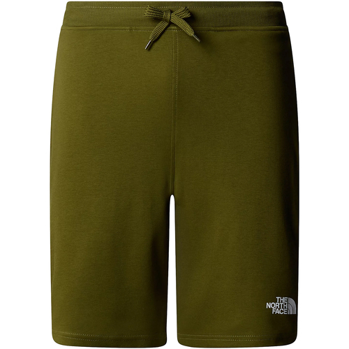 Abbigliamento Uomo Shorts / Bermuda The North Face Graphic Light Verde
