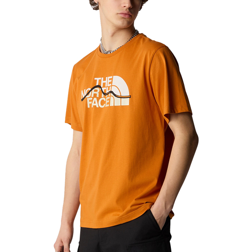 Abbigliamento Uomo T-shirt maniche corte The North Face Mountain Line Arancio