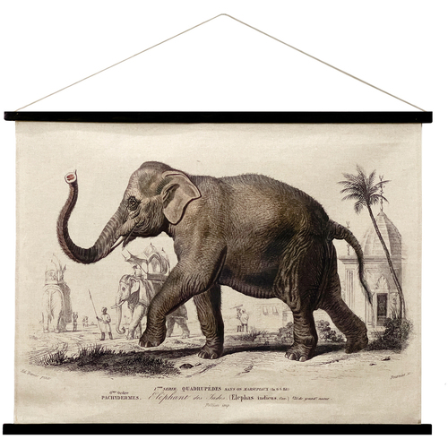Casa Dipinti / tele Signes Grimalt Tela Arrotolabile Con Elefante Kaki