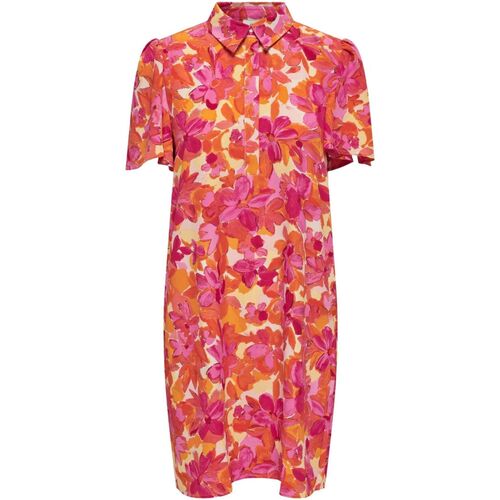 Abbigliamento Donna Abiti corti JDY JDYFLORENTINE S/S SHIRT DRESS WNV Multicolore