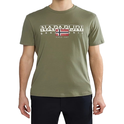 Abbigliamento Uomo T-shirt maniche corte Napapijri 234926 Verde