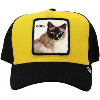 Accessori Cappelli Goorin Bros COOL CAT Oro