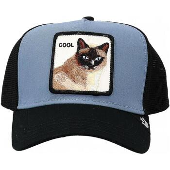 Accessori Cappelli Goorin Bros COOL CAT Altri