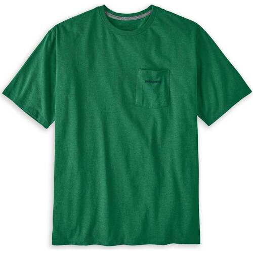 Abbigliamento Uomo T-shirt & Polo Patagonia Boardshort Logo Pocket Verde Verde
