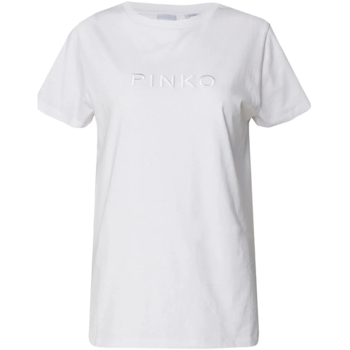 Abbigliamento Donna T-shirt maniche corte Pinko 101752a1nw-z04 Altri
