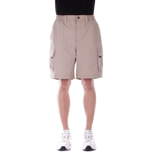Abbigliamento Uomo Shorts / Bermuda Dickies DK0A4YAC Beige