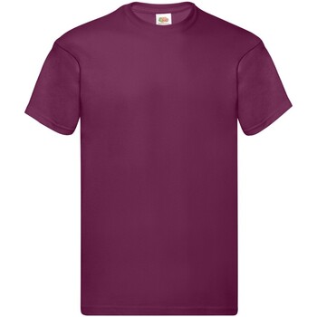 Abbigliamento Uomo T-shirts a maniche lunghe Fruit Of The Loom SS048 Multicolore