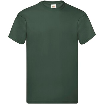 Abbigliamento Uomo T-shirts a maniche lunghe Fruit Of The Loom Original Verde