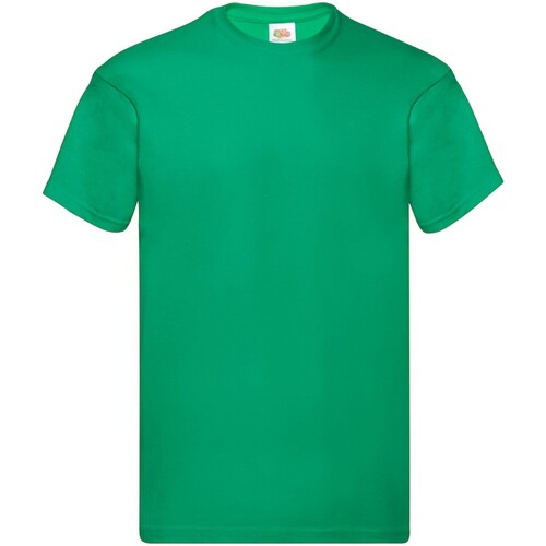 Abbigliamento Uomo T-shirts a maniche lunghe Fruit Of The Loom Original Verde