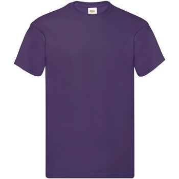 Abbigliamento Uomo T-shirts a maniche lunghe Fruit Of The Loom SS048 Viola