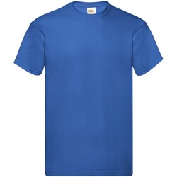 Abbigliamento Uomo T-shirts a maniche lunghe Fruit Of The Loom Original Blu