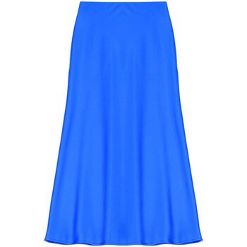 Abbigliamento Donna Gonne Imperial GONNA Blu