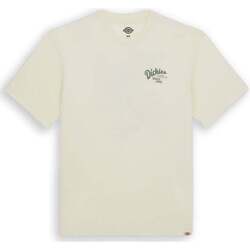 Abbigliamento Uomo T-shirt & Polo Dickies Raven Latte Bianco