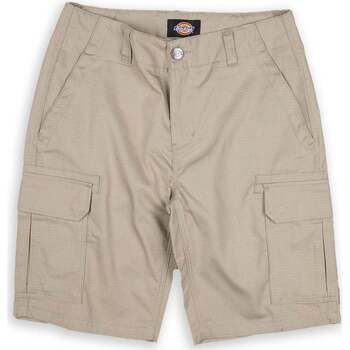 Abbigliamento Uomo Shorts / Bermuda Dickies Millerville Beige