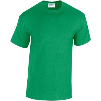Abbigliamento Uomo T-shirts a maniche lunghe Gildan Heavy Cotton Verde