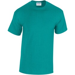 Abbigliamento Uomo T-shirts a maniche lunghe Gildan Heavy Cotton Multicolore